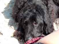 Click to see 2003-08-20-10_57_23-hochzeitsreise047.jpg