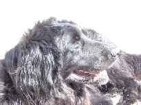 Click to see 2003-08-20-10_57_58-hochzeitsreise048.jpg