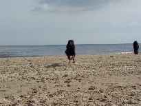 Click to see 2003-08-20-11_03_21-hochzeitsreise049.jpg