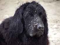 Click to see 2003-08-20-11_39_30-hochzeitsreise055.jpg