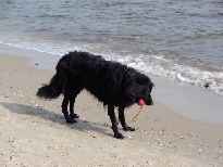 Click to see 2003-08-21-09_44_02-hochzeitsreise102.jpg