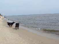 Click to see 2003-08-21-09_46_04-hochzeitsreise105.jpg