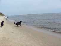 Click to see 2003-08-21-09_47_16-hochzeitsreise108.jpg