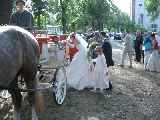 Click to see 2003-08-16-17_21_03-Hochzeit_Kutsche_MS_001.jpg