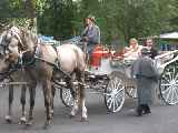 Click to see 2003-08-16-18_16_36-Hochzeit_Kutsche_MS_009.jpg